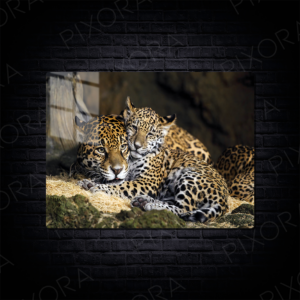 Jaguar Metal Tablo