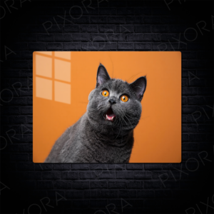 Kedi Metal Tablo
