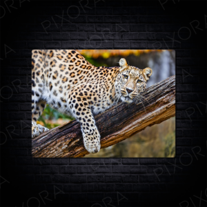 Leopar Metal Tablo