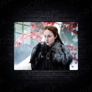 Sansa Stark Metal Tablo
