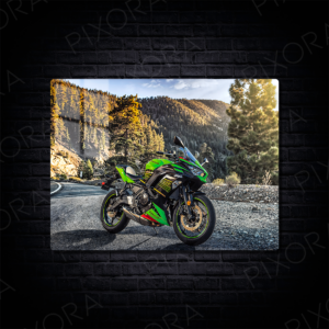 Kawasaki Ninja Metal Tablo