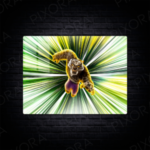 Kung Fu Panda Metal Tablo